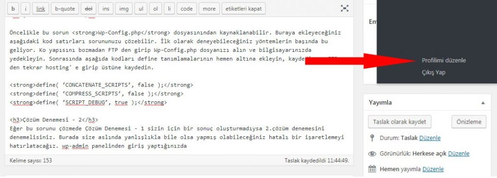 wordpress yazi editoru sorunu