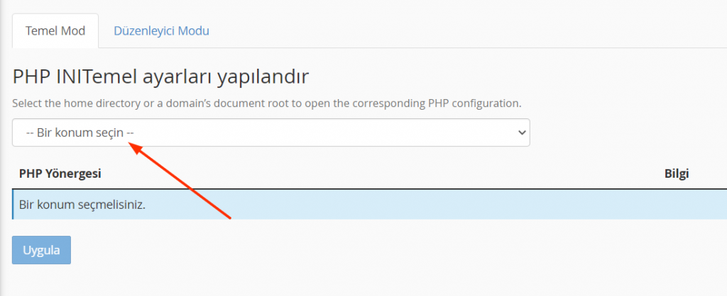 WordPress PHP Max Input Vars Değerini Artırma